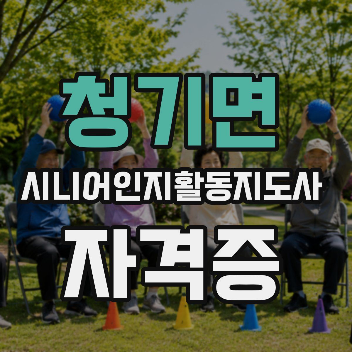 청기면 시니어인지활동지도사 자격증