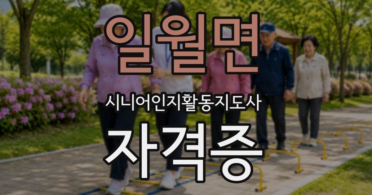일월면 시니어인지활동지도사 자격증