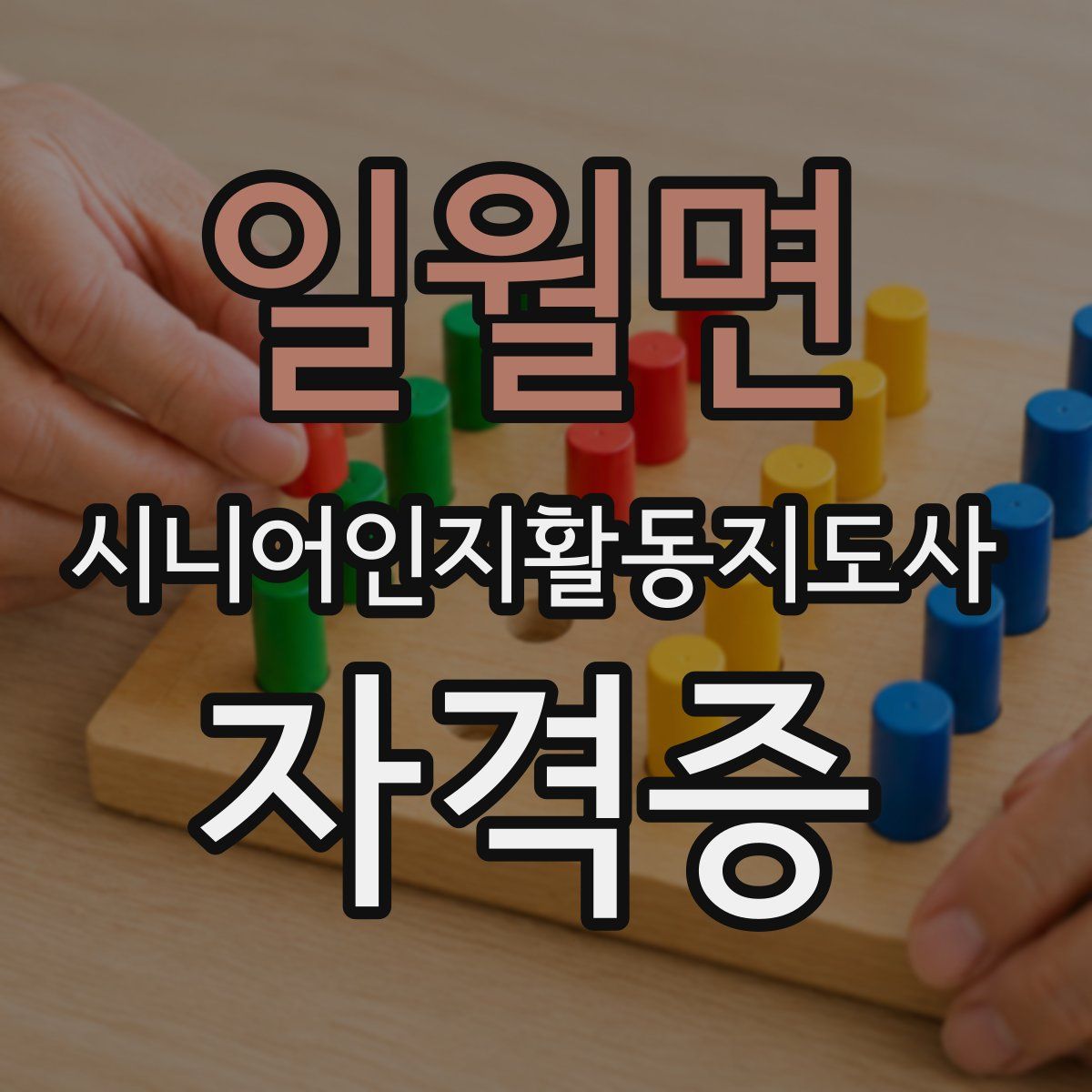 일월면 시니어인지활동지도사 자격증