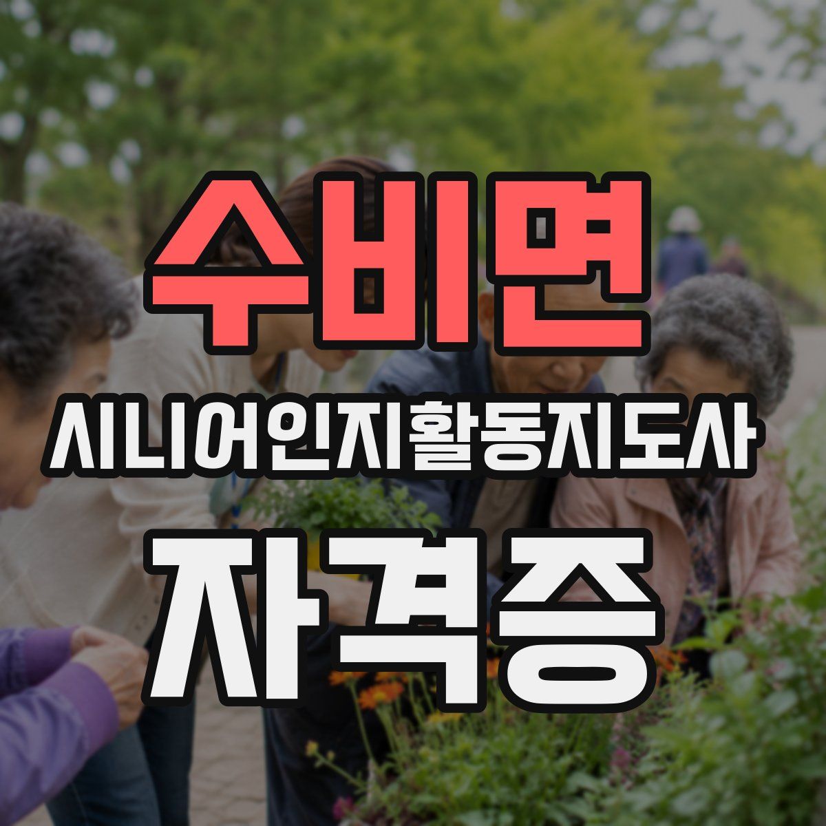 수비면 시니어인지활동지도사 자격증