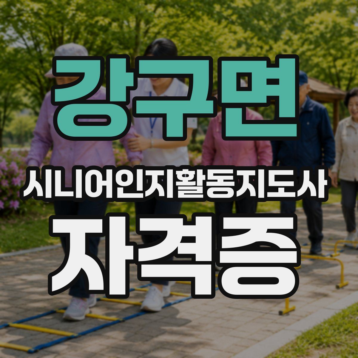 강구면 시니어인지활동지도사 자격증