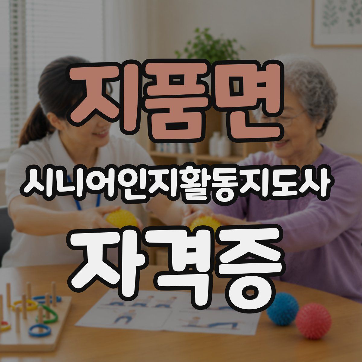 지품면 시니어인지활동지도사 자격증