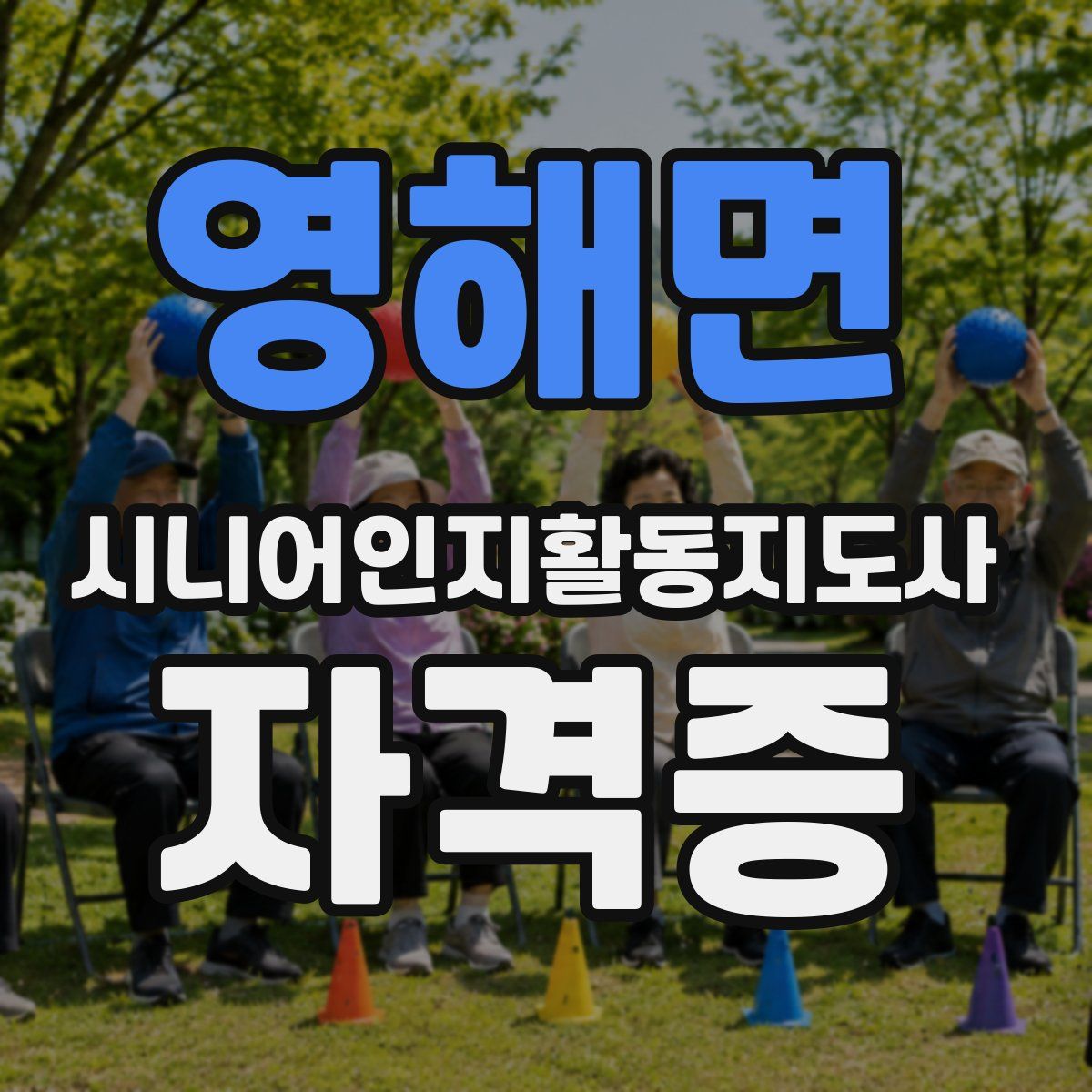 영해면 시니어인지활동지도사 자격증
