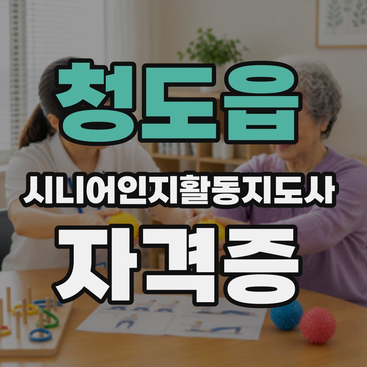 청도읍 시니어인지활동지도사 자격증
