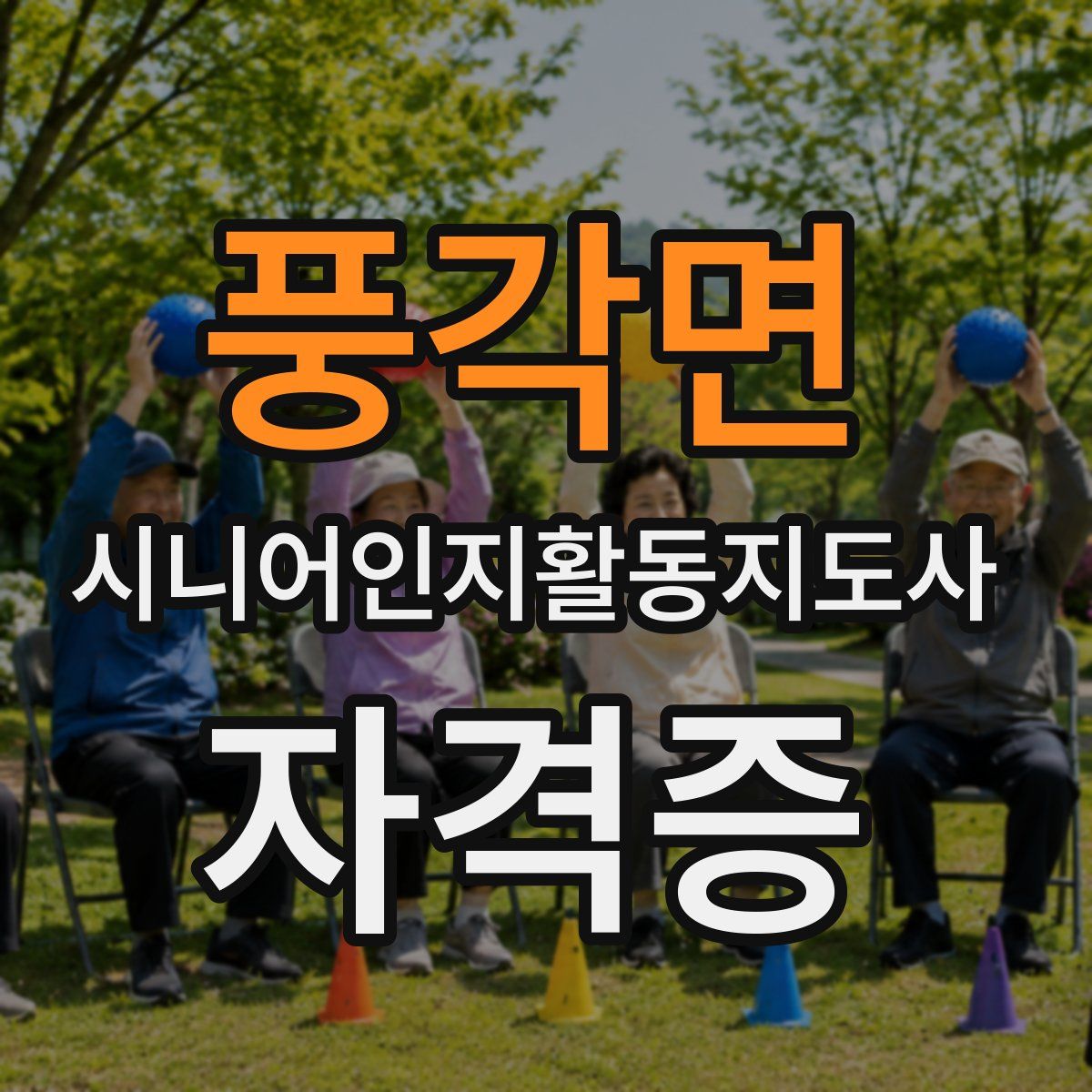 풍각면 시니어인지활동지도사 자격증