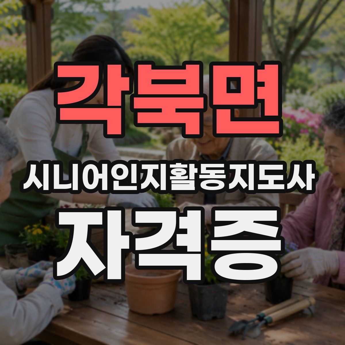 각북면 시니어인지활동지도사 자격증