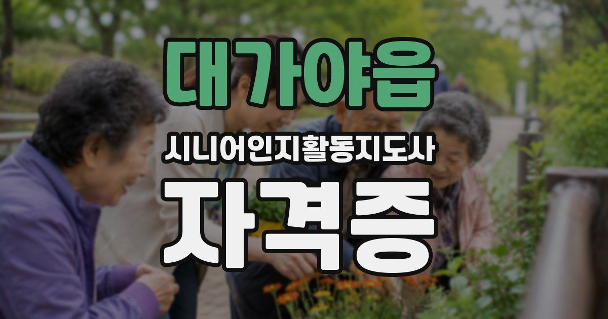 대가야읍 시니어인지활동지도사 자격증