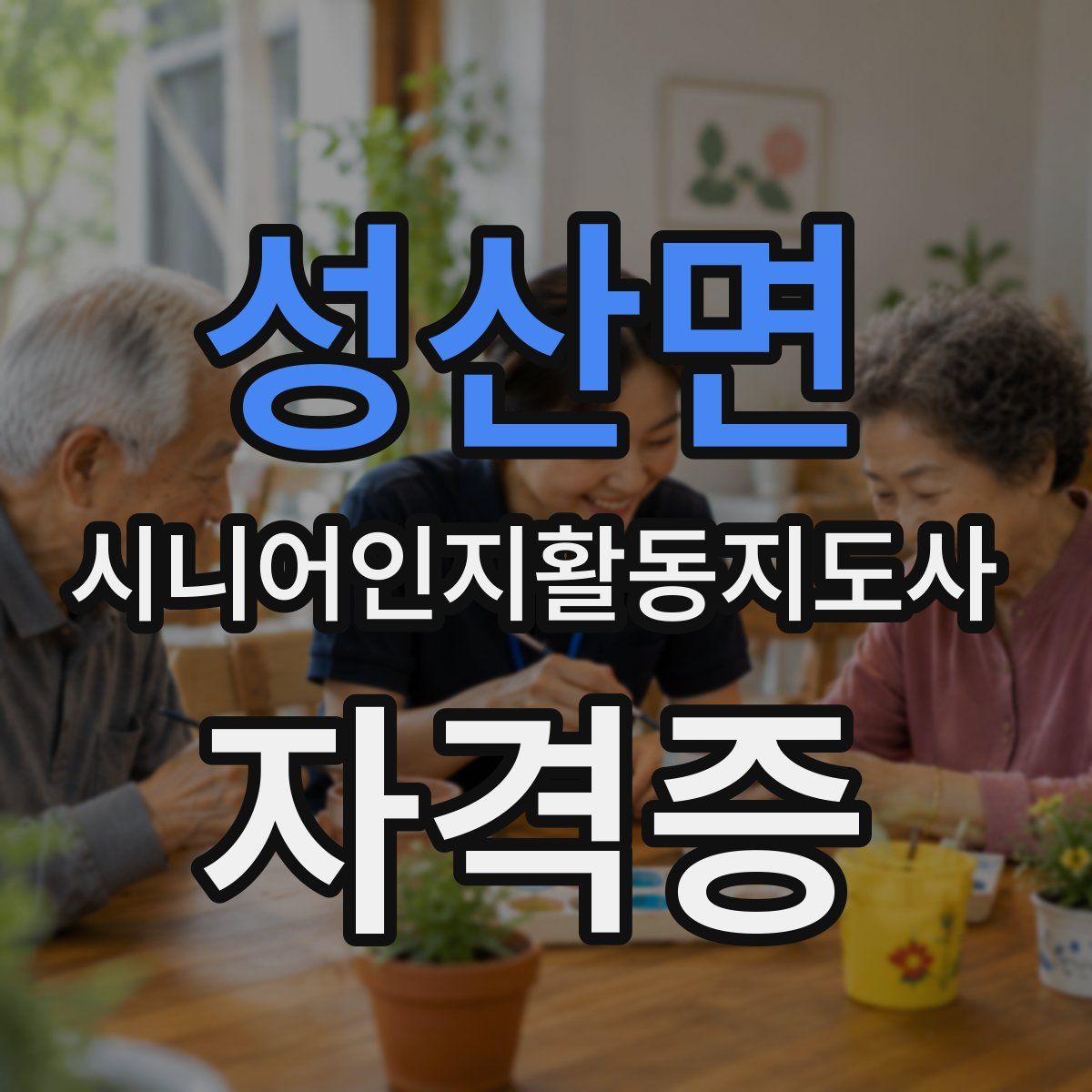 성산면 시니어인지활동지도사 자격증