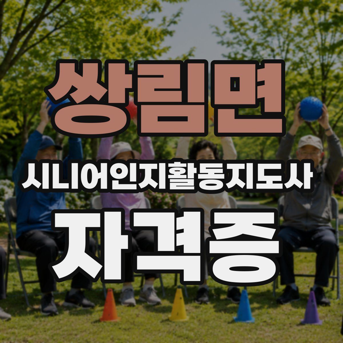 쌍림면 시니어인지활동지도사 자격증