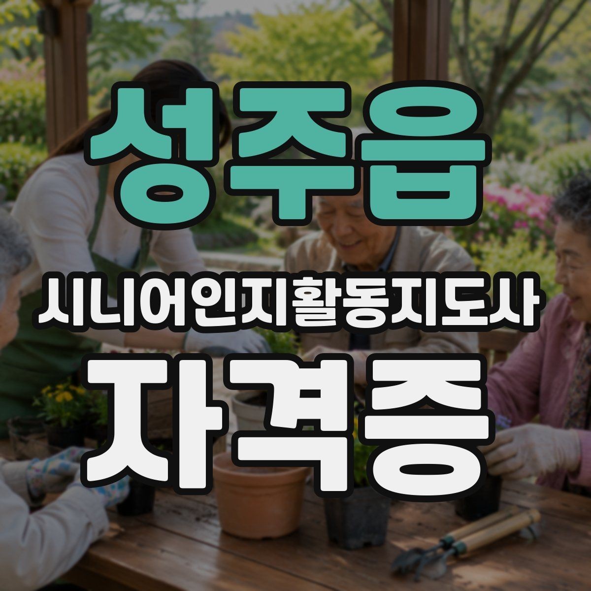 성주읍 시니어인지활동지도사 자격증 현장 적용에 필요한 역량