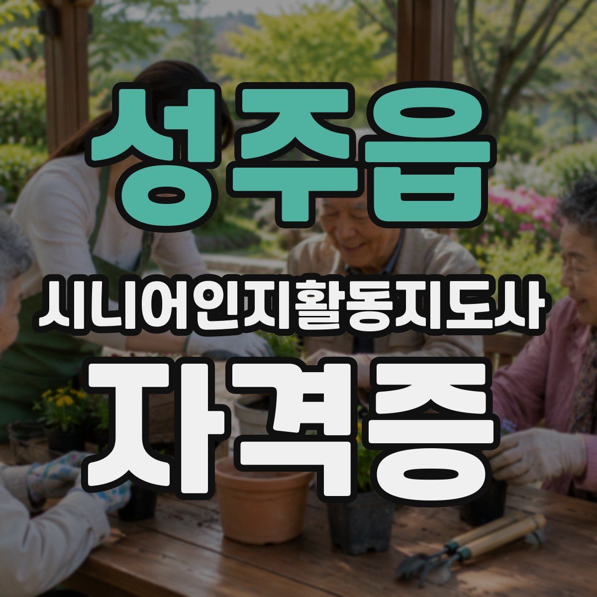 성주읍 시니어인지활동지도사 자격증