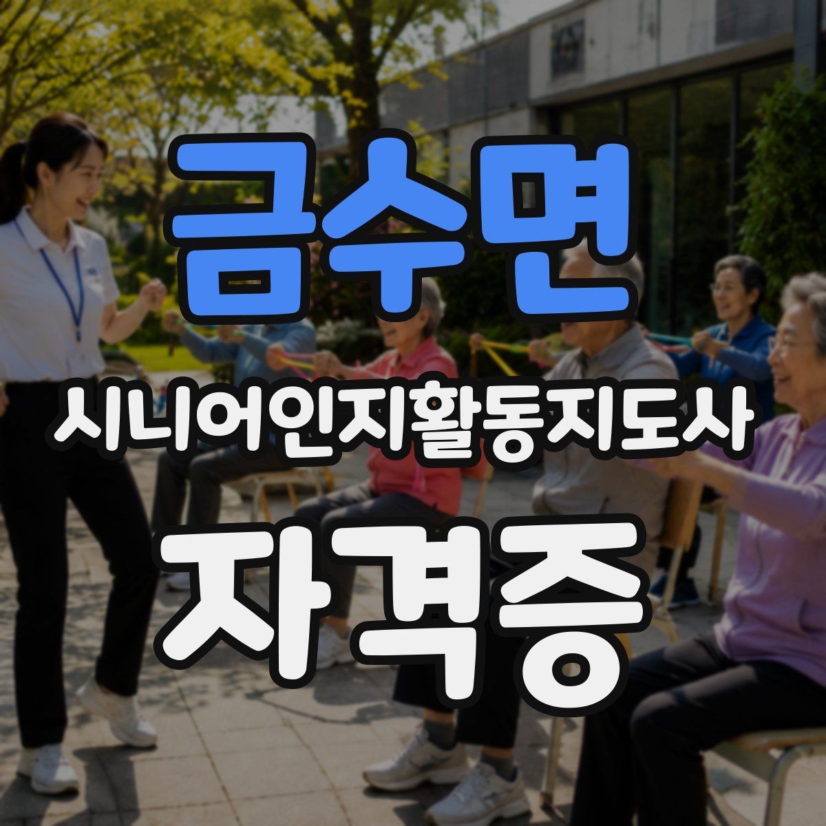 금수면 시니어인지활동지도사 자격증 현장 적용에 필요한 역량