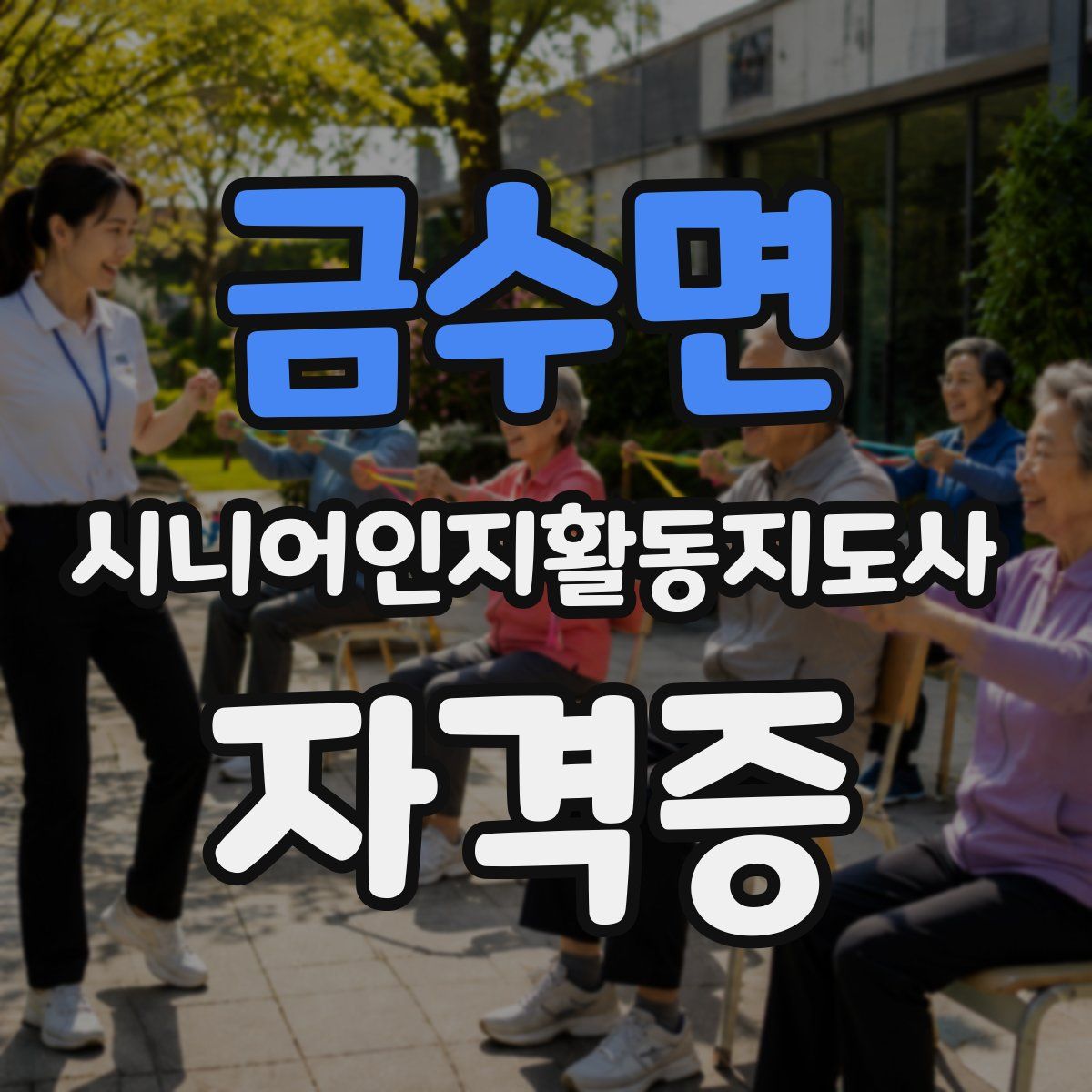 금수면 시니어인지활동지도사 자격증