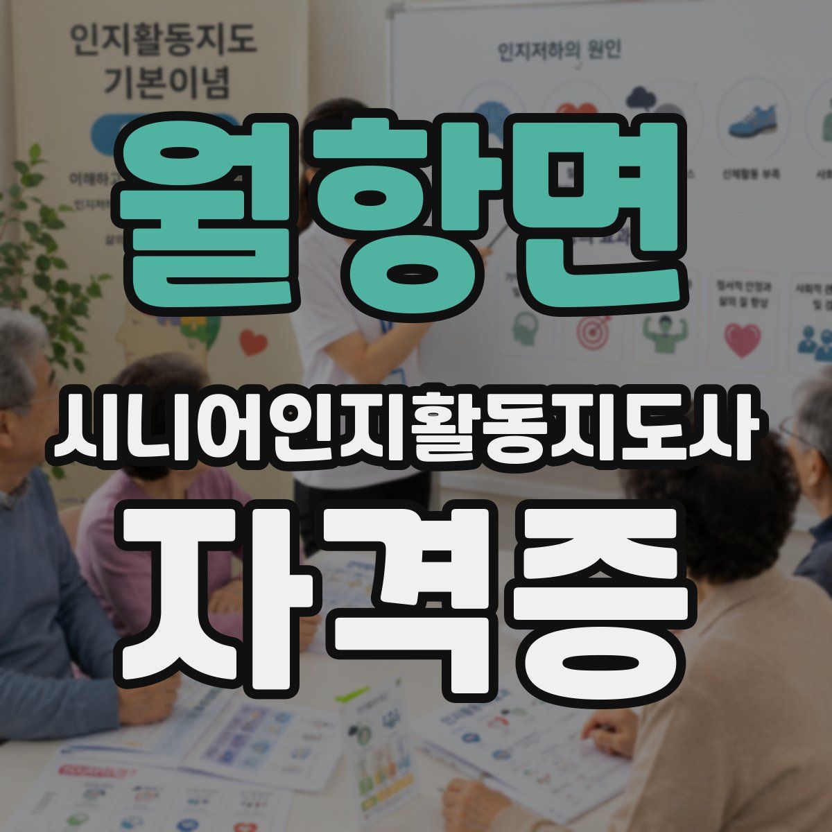 월항면 시니어인지활동지도사 자격증