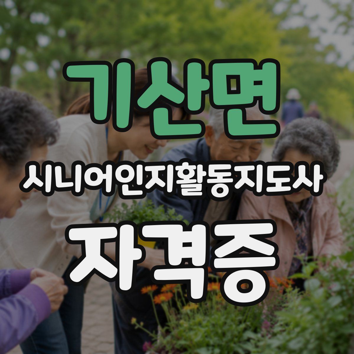 기산면 시니어인지활동지도사 자격증