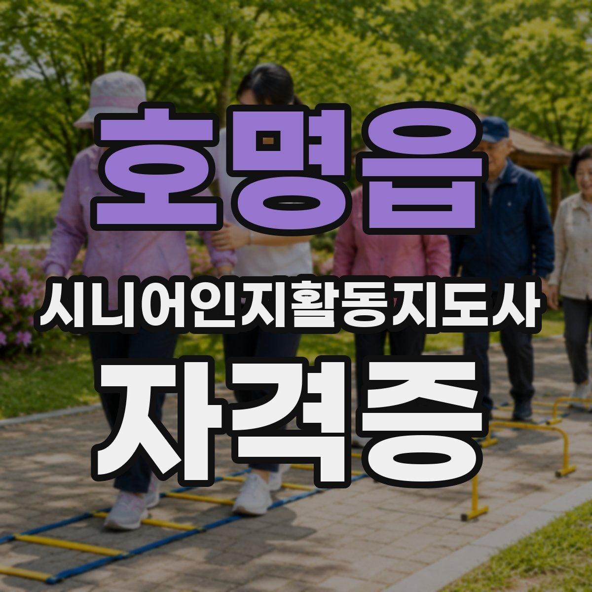 호명읍 시니어인지활동지도사 자격증 강의 내용이 궁금할 때 읽는 글