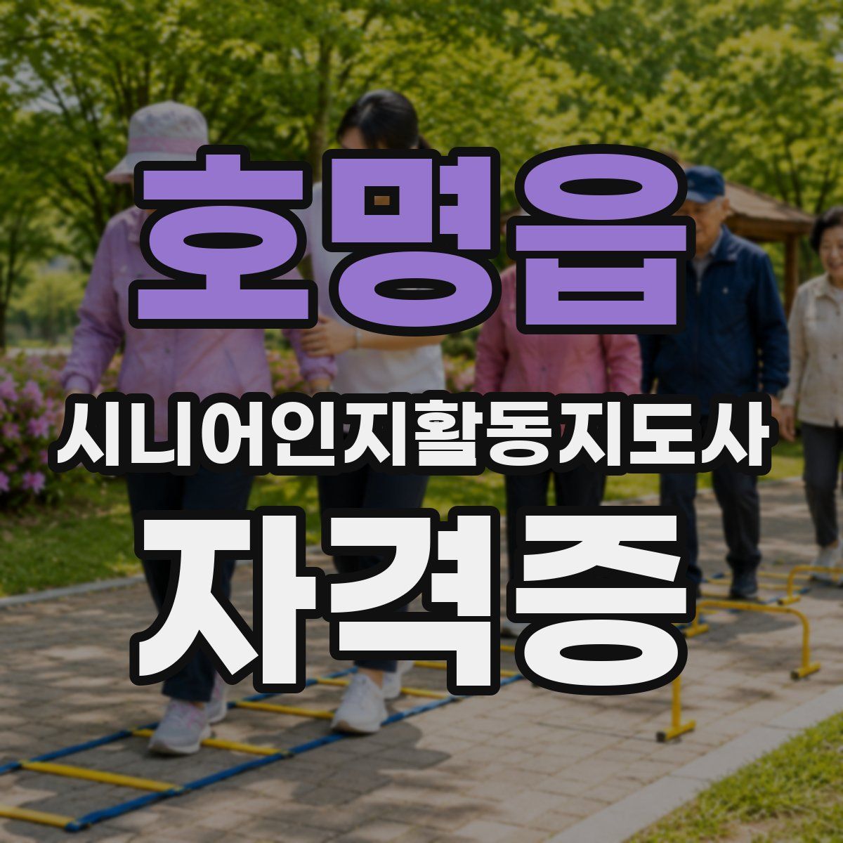 호명읍 시니어인지활동지도사 자격증