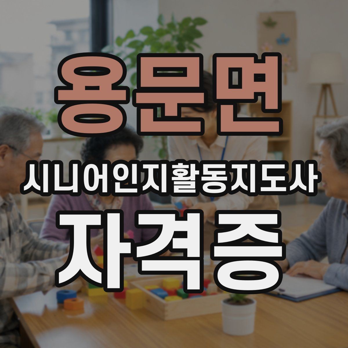 용문면 시니어인지활동지도사 자격증 취득 후 활동 가능한 곳