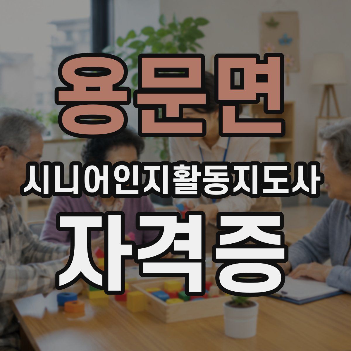 용문면 시니어인지활동지도사 자격증
