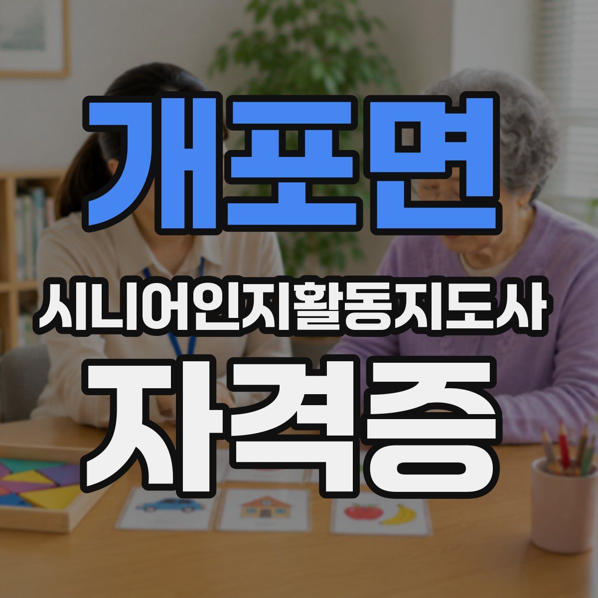 개포면 시니어인지활동지도사 자격증