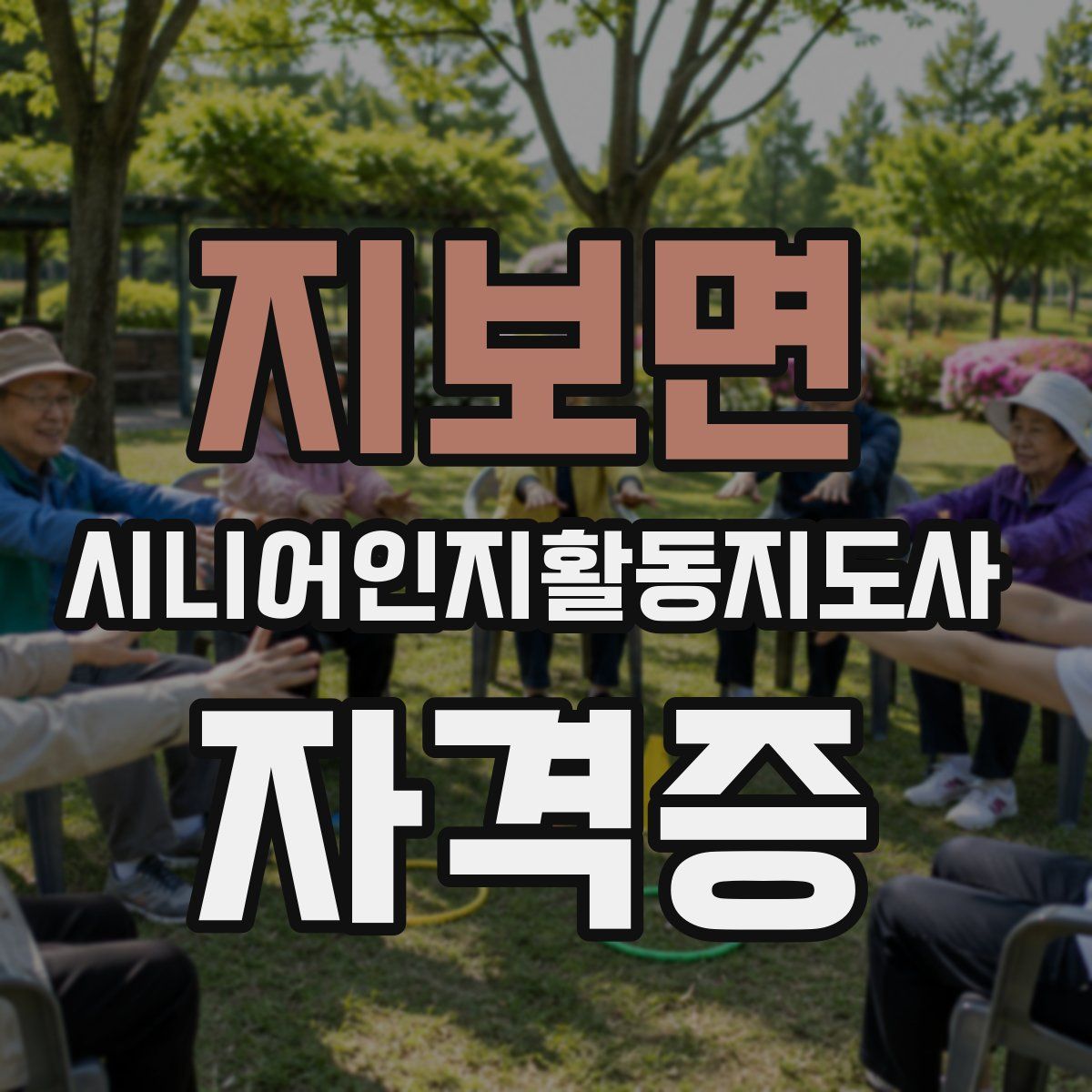 지보면 시니어인지활동지도사 자격증