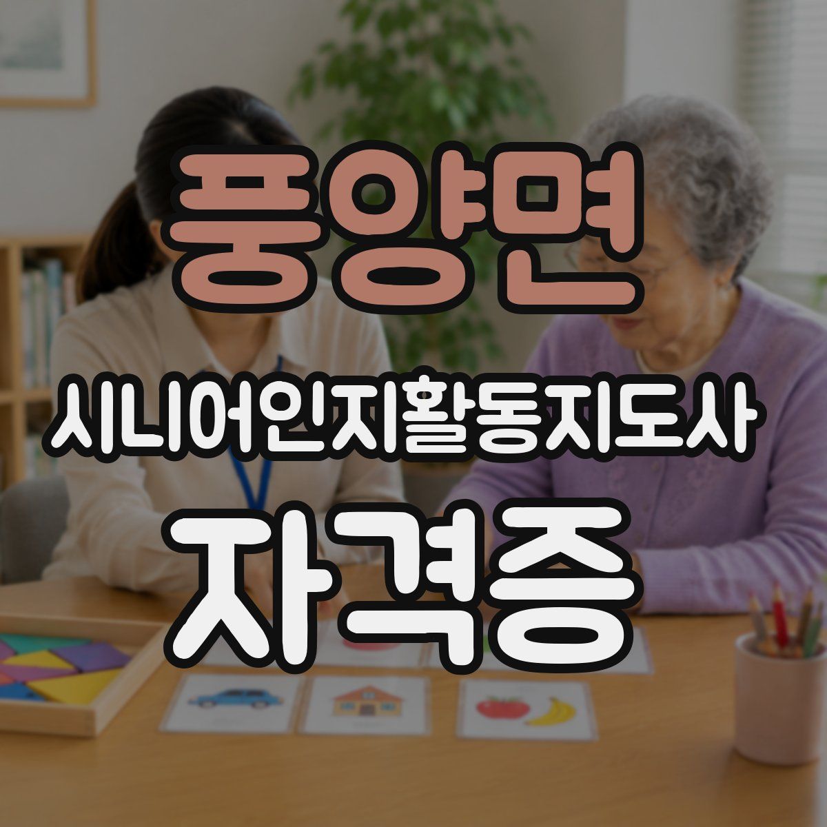 풍양면 시니어인지활동지도사 자격증
