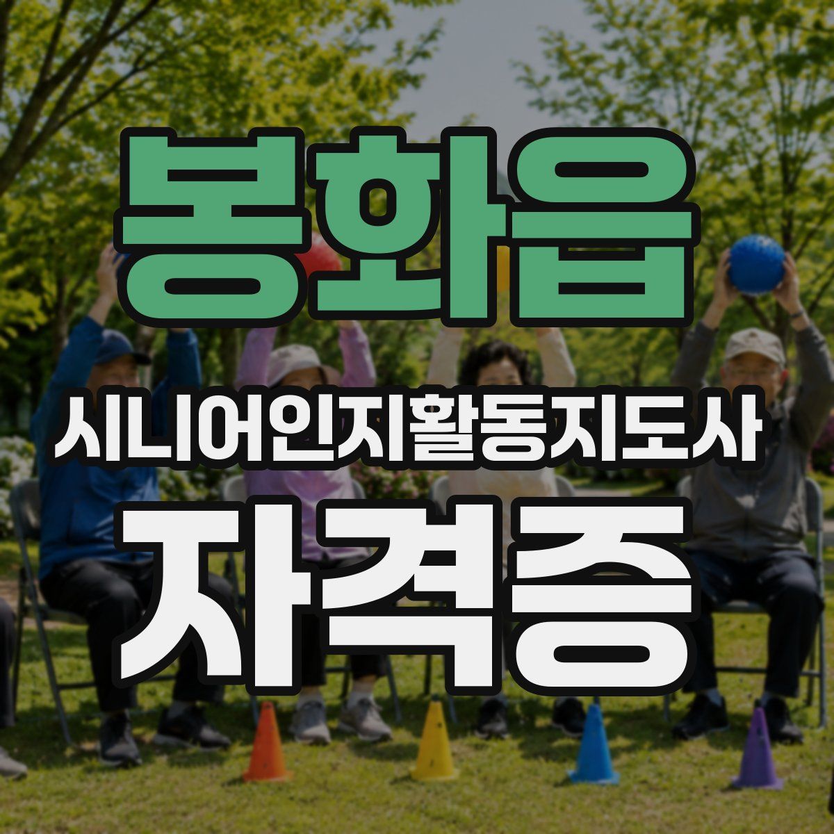 봉화읍 시니어인지활동지도사 자격증