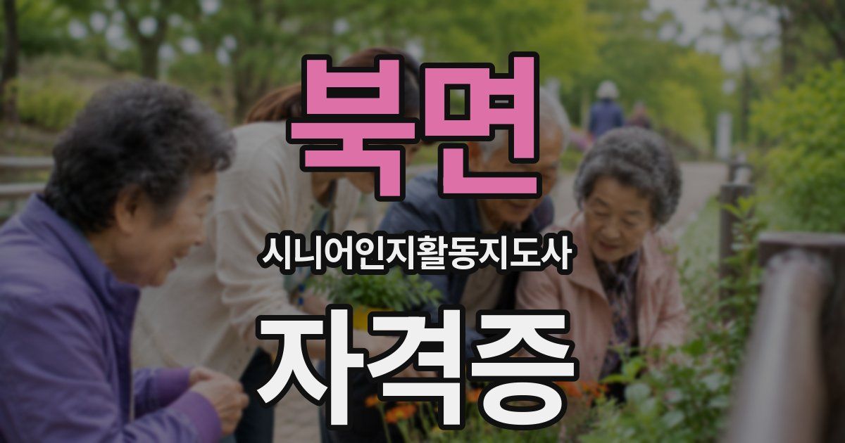 북면 시니어인지활동지도사 자격증