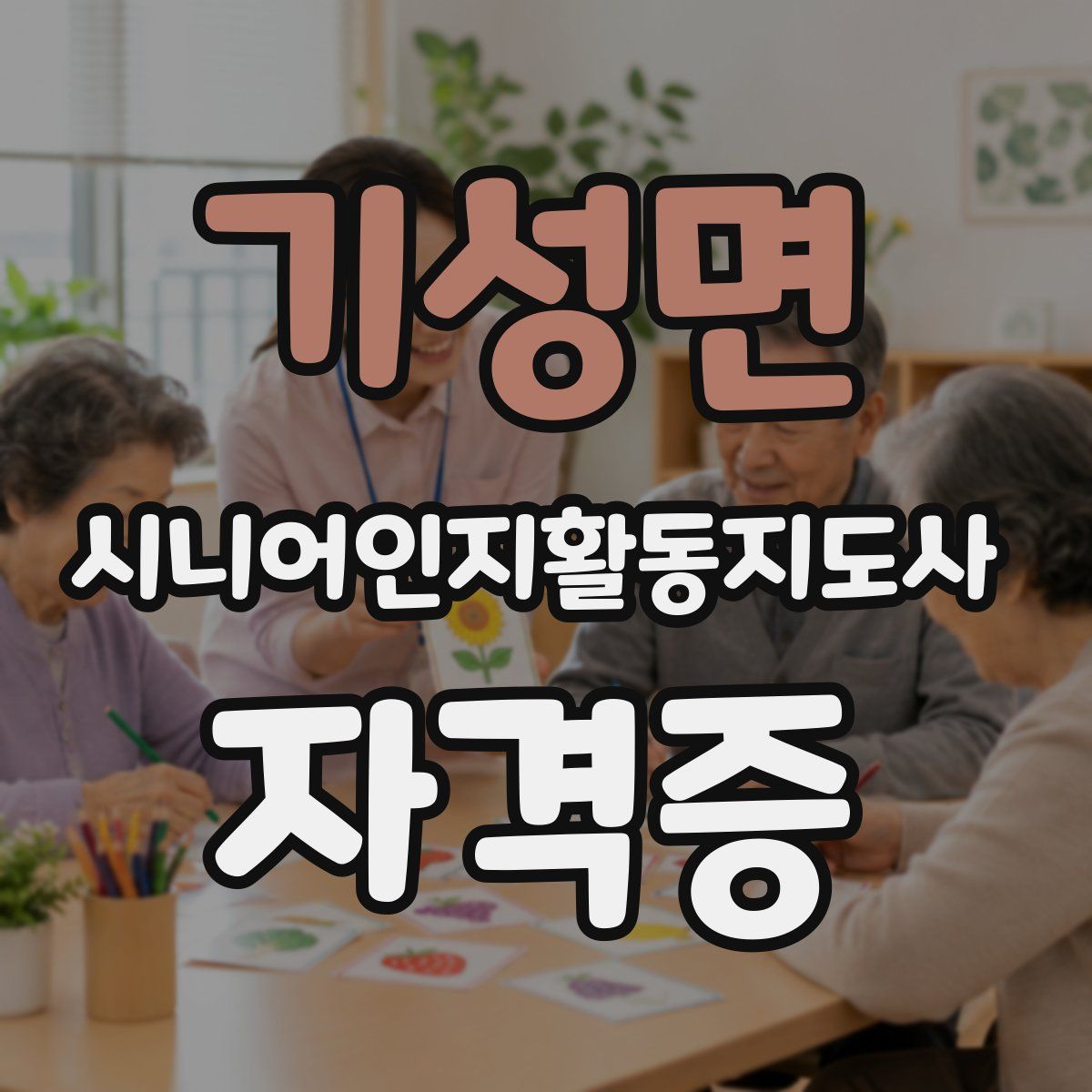 기성면 시니어인지활동지도사 자격증