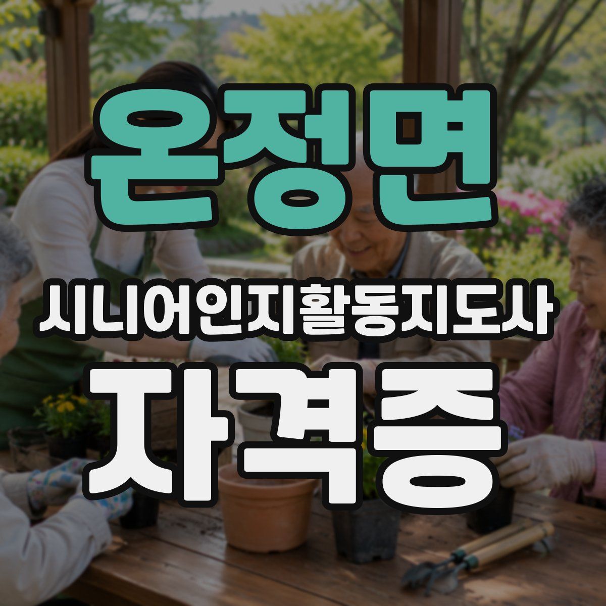 온정면 시니어인지활동지도사 자격증