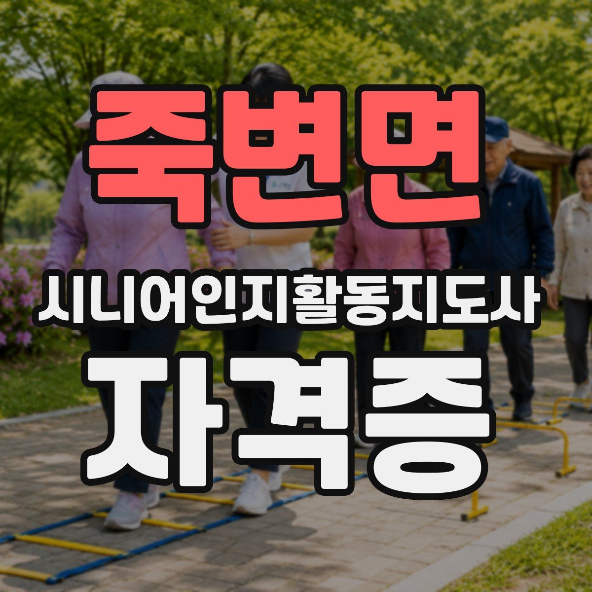 죽변면 시니어인지활동지도사 자격증