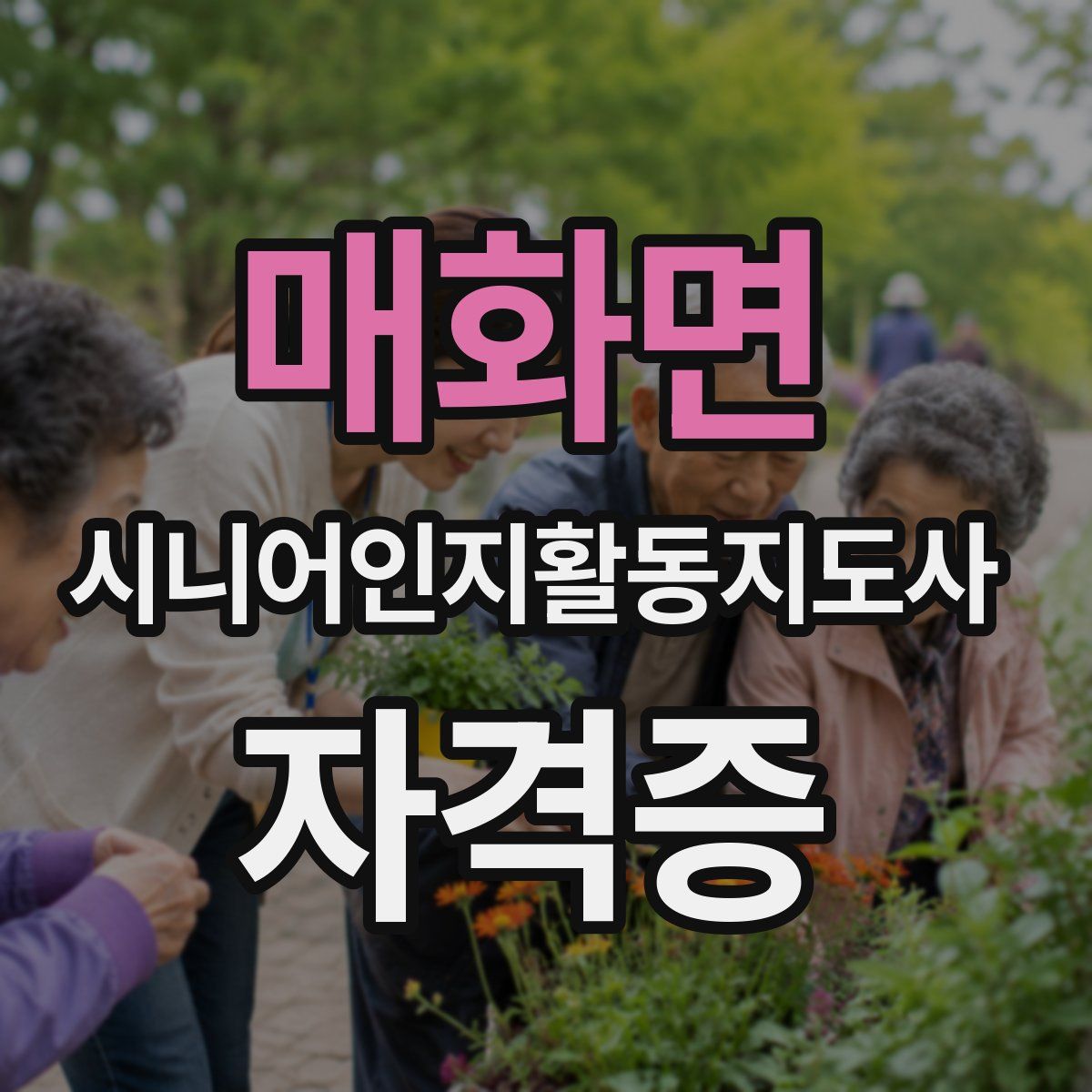 매화면 시니어인지활동지도사 자격증