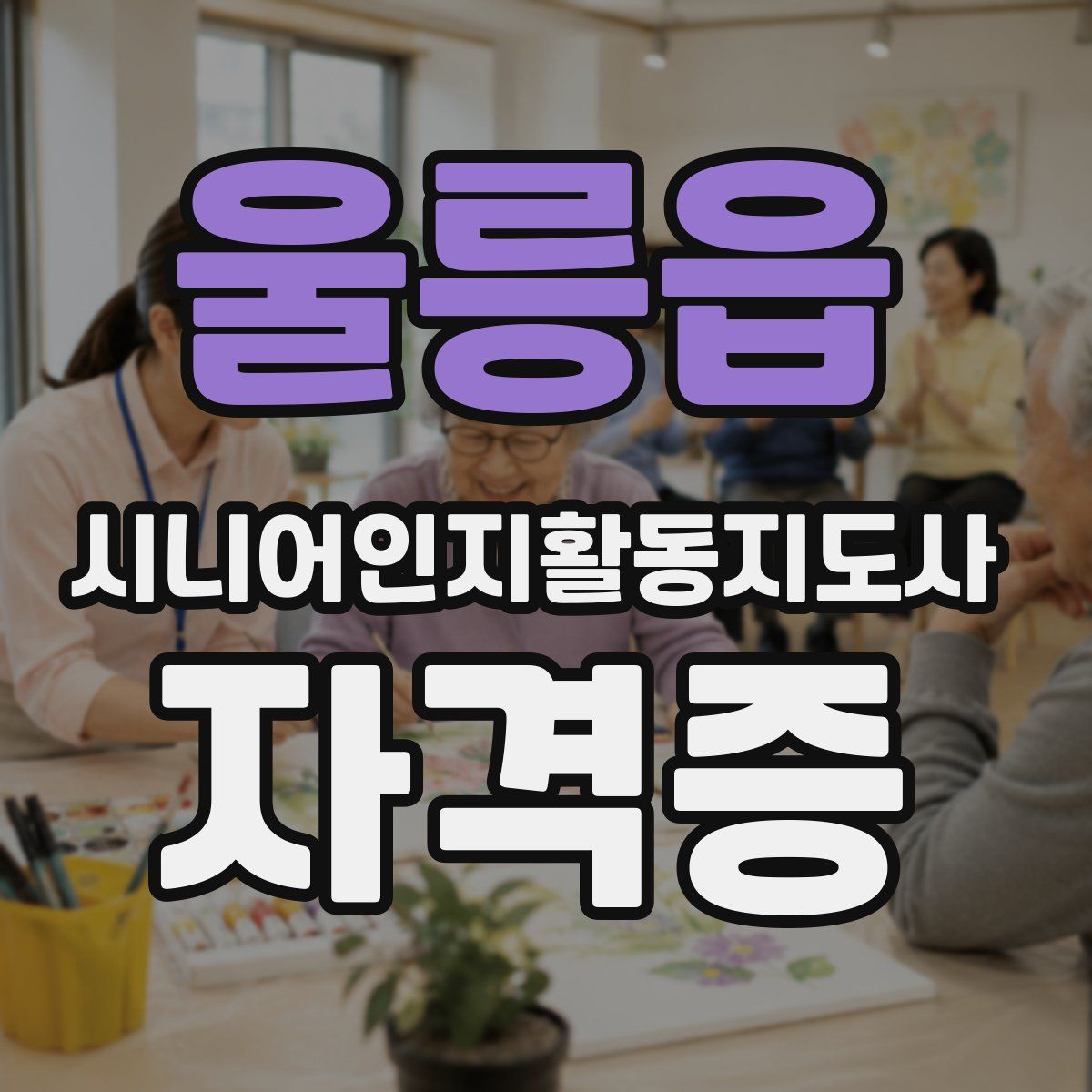 울릉읍 시니어인지활동지도사 자격증