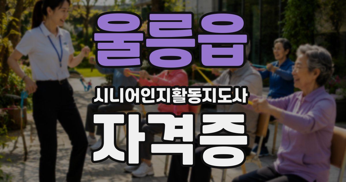 울릉읍 시니어인지활동지도사 자격증