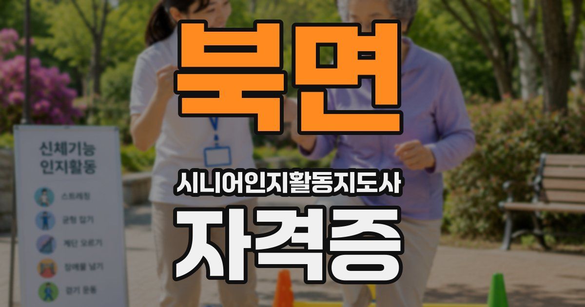 북면 시니어인지활동지도사 자격증