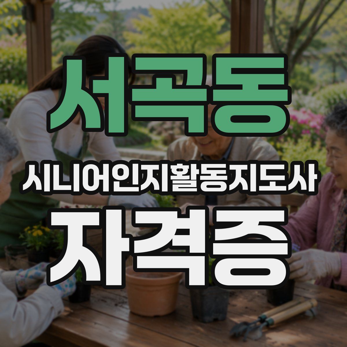 서곡동 시니어인지활동지도사 자격증