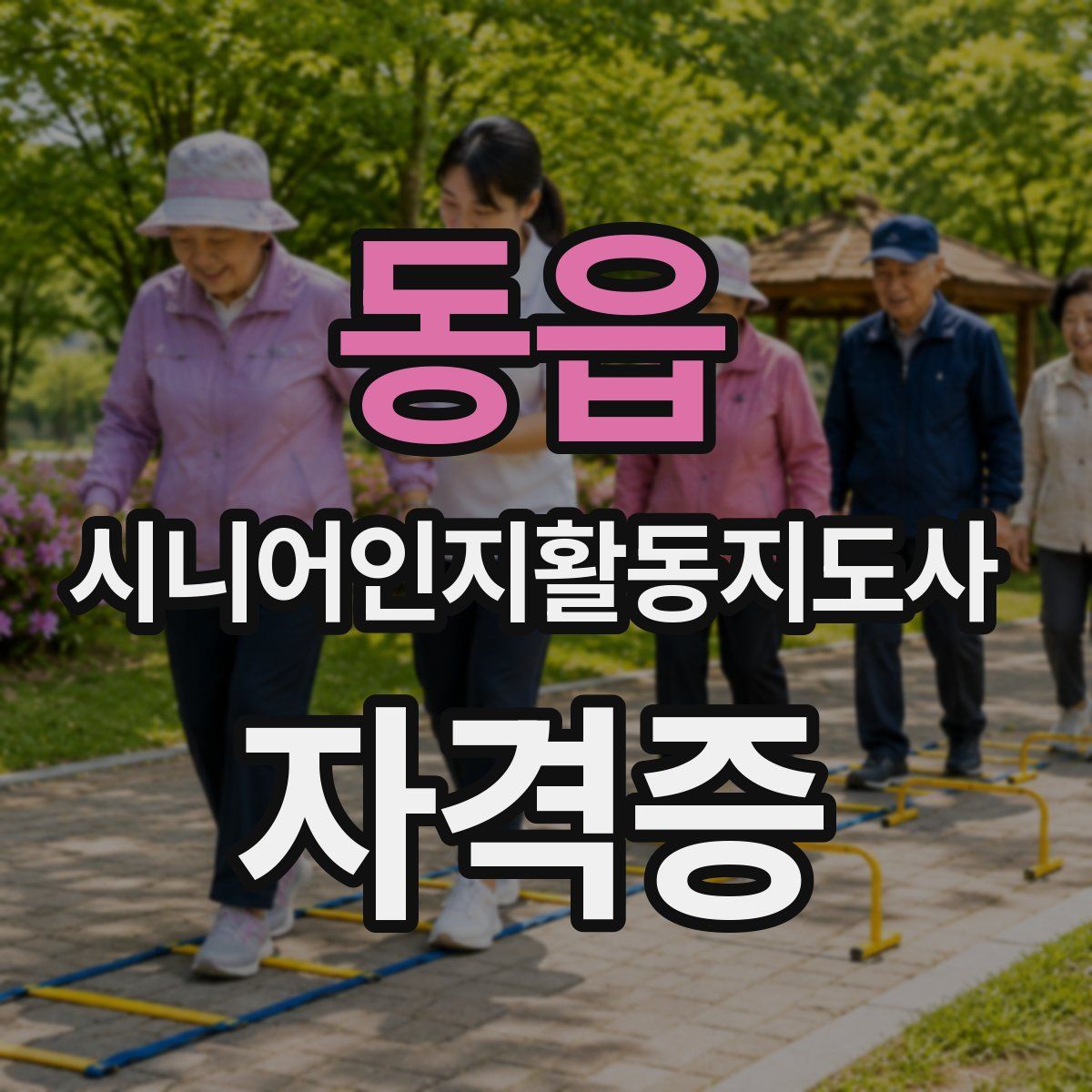 동읍 시니어인지활동지도사 자격증