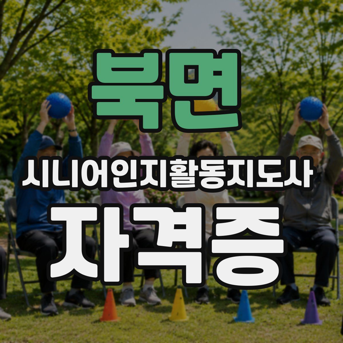 북면 시니어인지활동지도사 자격증