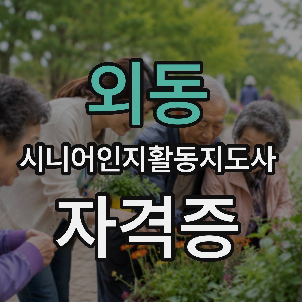 외동 시니어인지활동지도사 자격증 취득 후 가능한 활동 정리