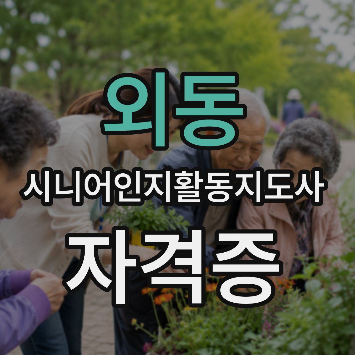 외동 시니어인지활동지도사 자격증