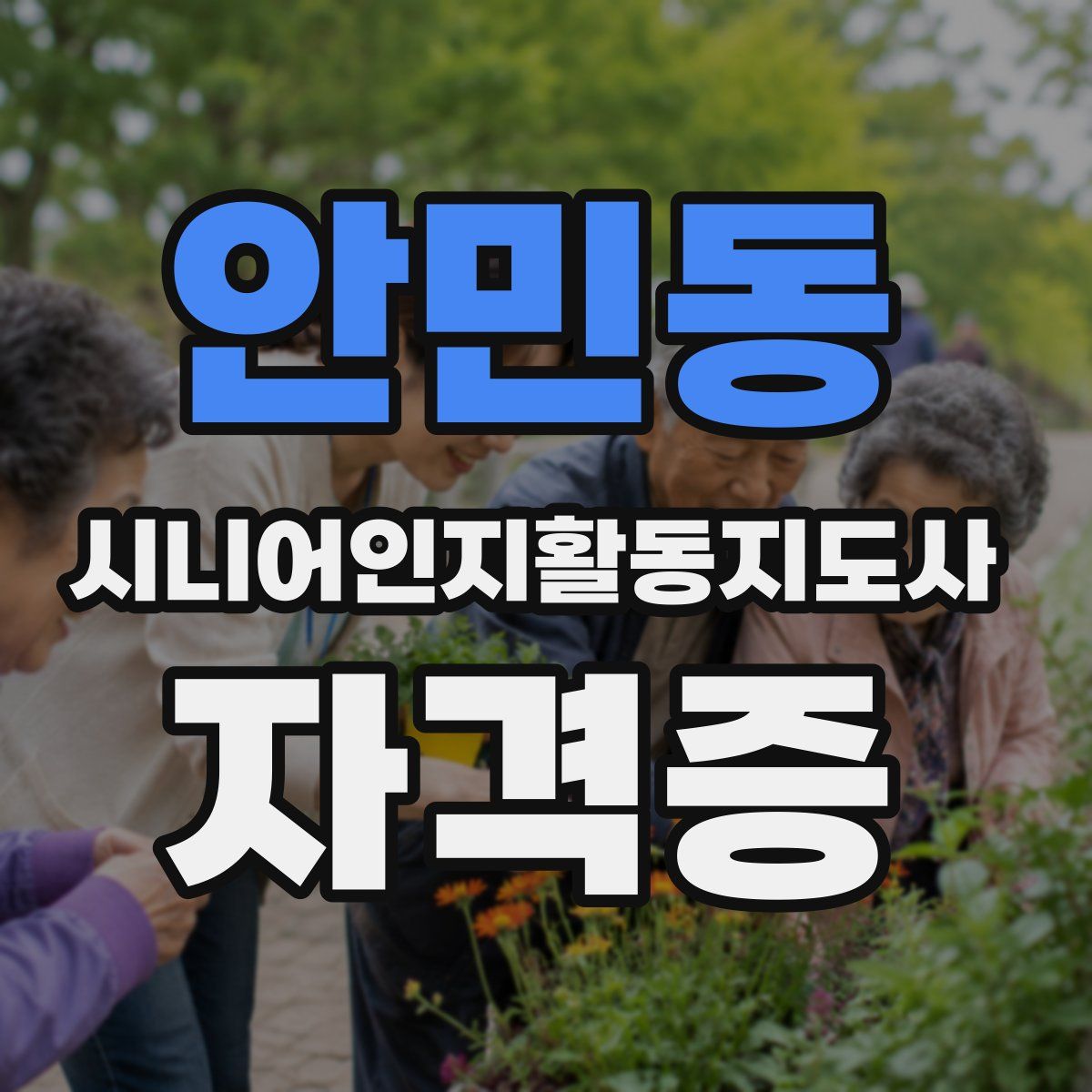 안민동 시니어인지활동지도사 자격증