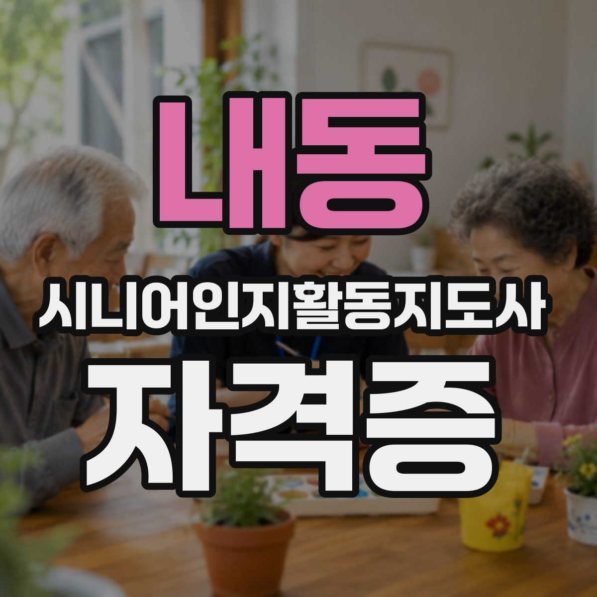 내동 시니어인지활동지도사 자격증