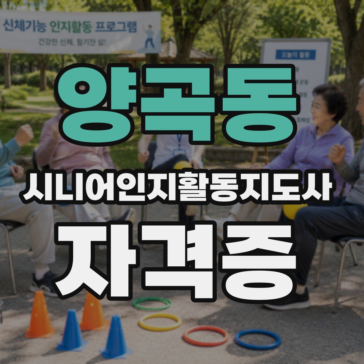양곡동 시니어인지활동지도사 자격증