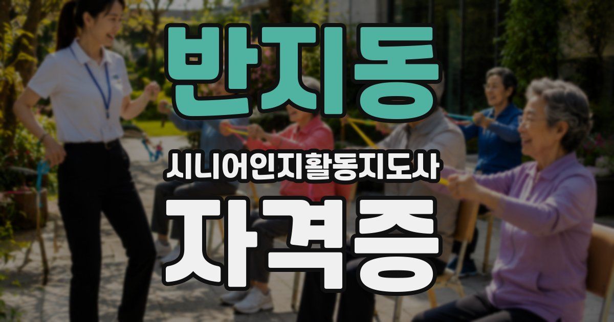 반지동 시니어인지활동지도사 자격증
