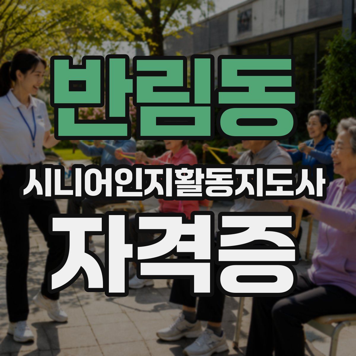 반림동 시니어인지활동지도사 자격증