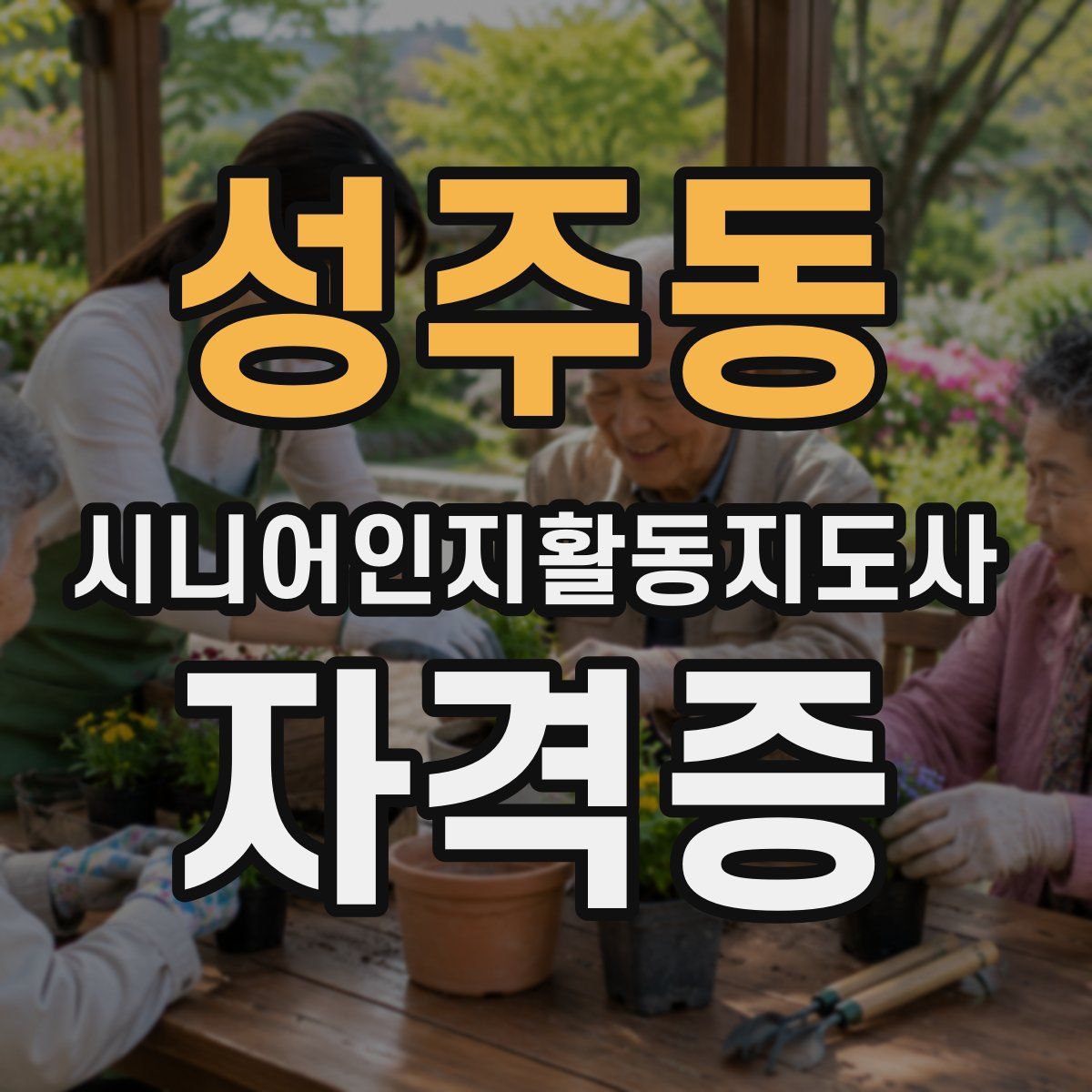 성주동 시니어인지활동지도사 자격증