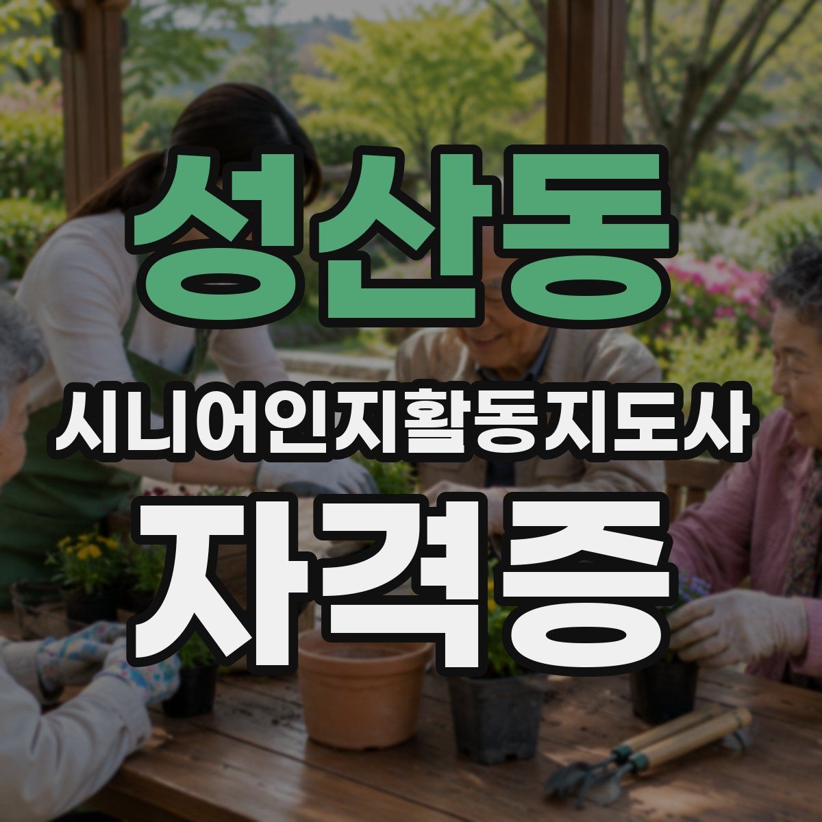 성산동 시니어인지활동지도사 자격증
