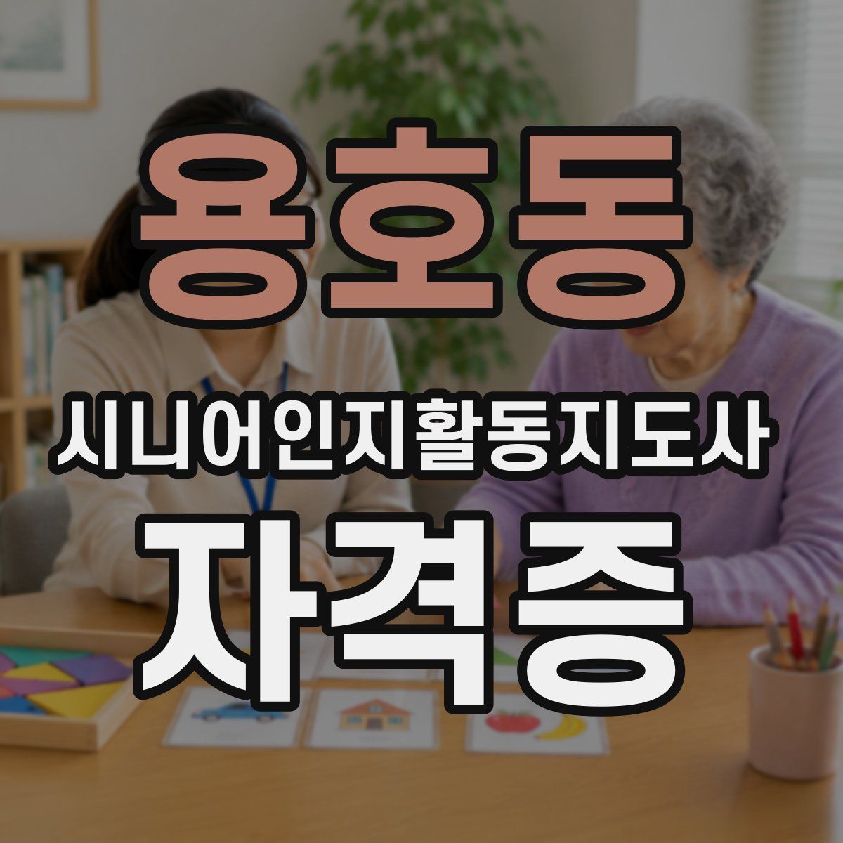 용호동 시니어인지활동지도사 자격증