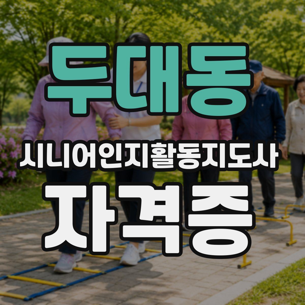 두대동 시니어인지활동지도사 자격증