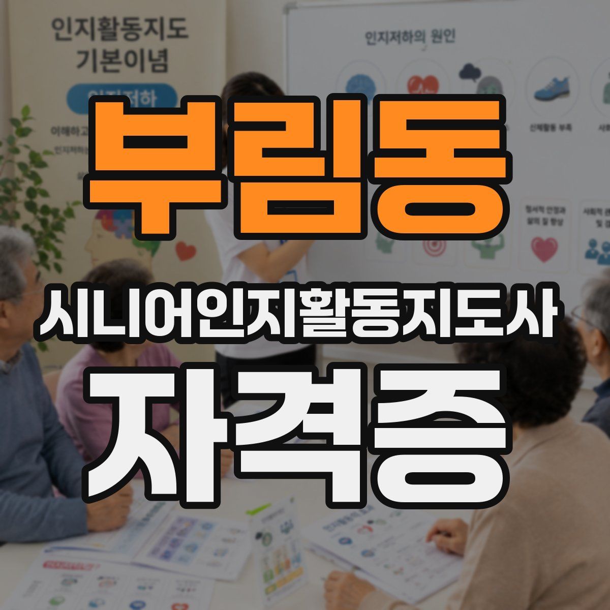 부림동 시니어인지활동지도사 자격증